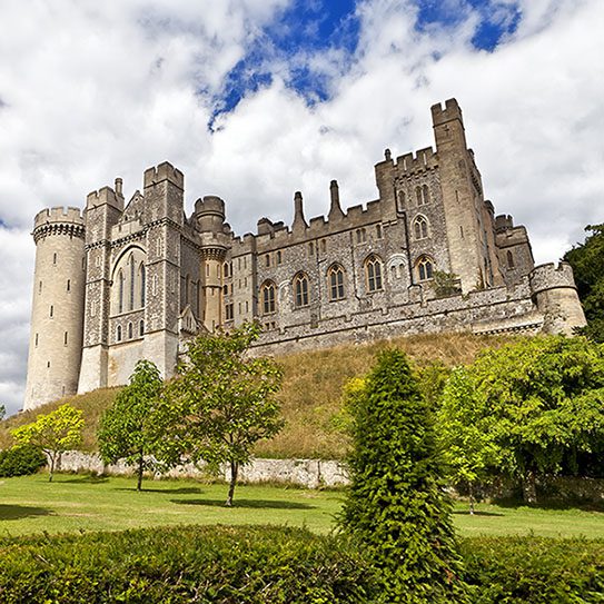 medieval bad breath 2025 543 The Dental Office At Chestnut Hill