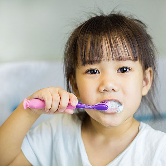 child toothbrush 2025 543 The Dental Office At Chestnut Hill